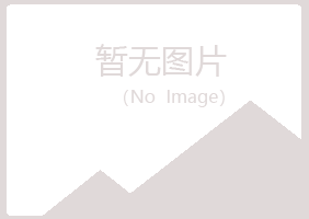 鹤山区沉沦工程有限公司